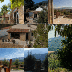 paysages au alentours de la demeure ain drahem